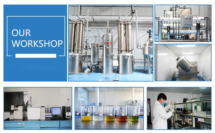 1762392983305862.png workshop.png