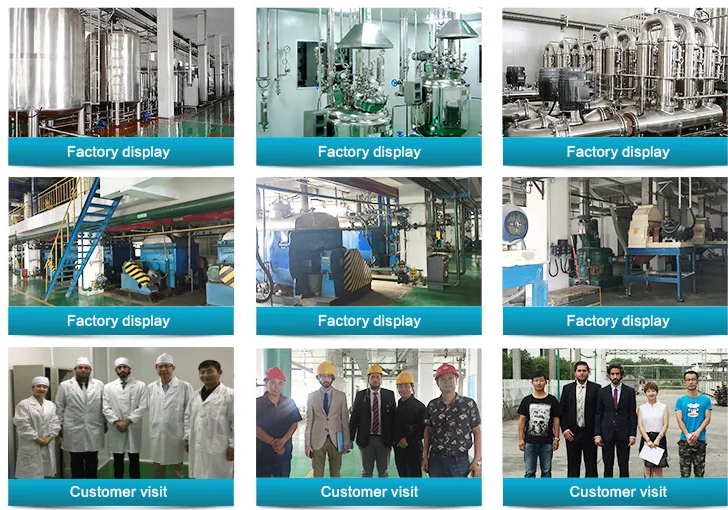 1767603368763864.png Factory.png